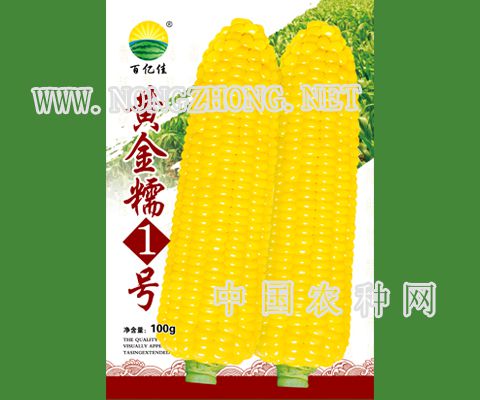 黄金糯1号